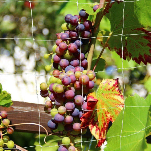Tcamp Heavy-Duty Polyester Plant Trellis Netting 5 x 15ft (1 Pack) (5 Ft X 15 Ft)...
