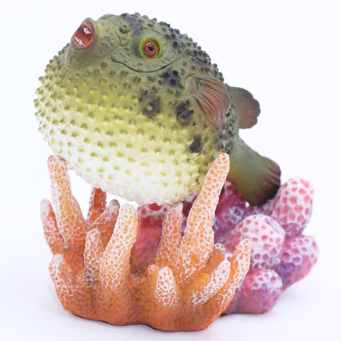 Gemini&Genius Pufferfish Toys for Kids, Realistic Puffer Fish Action Figures, Blowfish Toys, Under The Sea Life Figure Educational Gifts, Displays...