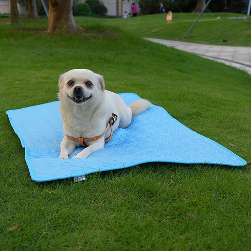 Dog Cooling Mat, Ice Silk Mat, Keep Pets Cool, Machine Washable Pet Cooling Pad for Beds, Kennels, Sofas, Beds, Floors, Car Seats-(28''×22''Large,...