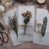 160PCS Vintage Plants Stickers Scrapbook Supplies, Maxleaf 8 Packs Large Clear Waterproof Fern Maple Leaves Fruits Cotton Forest Collections Stick...