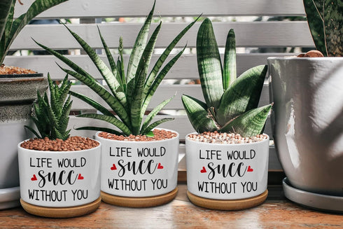Funny Ceramic Plant Succulent Planter Pot - Life Would SUCC Without You White Mini Cactus Plant Office Garden Decor for Teacher, Coworker, Firends...