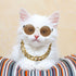 7 Pieces Dog Costume Set Include Adjustable Gold Pet Chain and Funny Cute Cat Small Dog Sunglasses Retro Pet Sunglasses for Cat Puppy Small Medium...