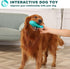 Dog Chew Toys for Aggressive Chewers, Indestructible Dog Toys for Aggressive Chewers, Tough Dog Toys for Large Dogs, Squeaky Dog Toys, Strong Dog ...