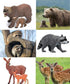 Forest Animals Figurines Toys, 10PCS Realistic Plastic Wild Woodland Animals Figures Playset, Cake Toppers Birthday Gift for Kids Children Toddler...
