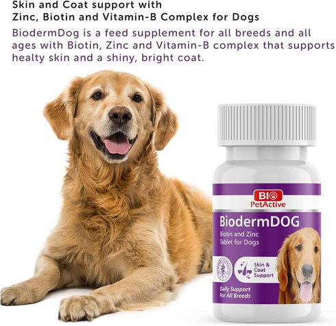 Bio Pet Active BiodermDOG 0.5 Zinc and Biotin Tablets for Dogs, Immune System, Skin, Coat and Nail Support for Dogs, 1.32 oz, 75 Chewable Tablets...