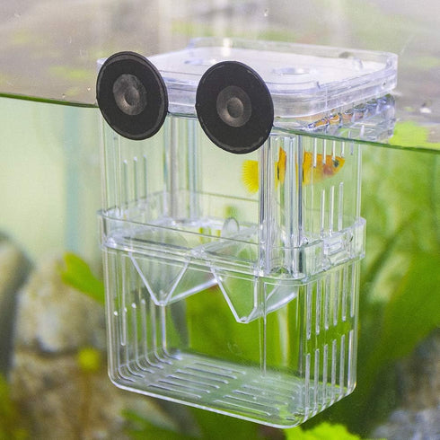 Senzeal Aquarium Fish Breeder Box Plastic Fish Isolation Breeding Box Hatching Incubator Box for Baby Fish Shrimp Clownfish Guppy...