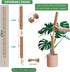 Moss Pole -2 Pack 17 Inch Monstera Plant Support for Climbing Plants Accessories Indoor -Stackable Moss Poles Plant Support Stakes -Coir Plant Pol...
