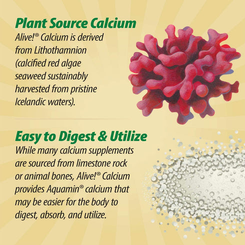 Nature's Way Alive! Calcium Max Absorption, Bone Support*, Plant Source Calcium, Vitamin D3 & K2, Magnesium, 120 Tablets (Packaging May Vary)...