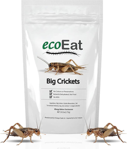 Edible Insects Big Black Crickets to Eat – Edible Bugs Edible Dehydrated Crickets - Snack Food Gifts (15g)...