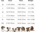 Dog Dress Dog Dresses for Small Dogs Girl Mesh Puppy Dress Summer Dog Clothes Yorkie Chihuahua Teacup Outfits Clothing Apparel Pet Cat Princess Dr...