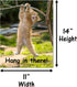 Hang in There Cat Poster - Printed on Premium Cardstock Paper - Sized 11 x 14 Inch - Perfect Funny Motivational Poster For Home or Office - Humoro...
