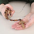 Alexander Castle Our Father Solid Wooden Rosary Beads (Handmade - Brazilian Walnut) with Madonna Medallion Junction - Comes in Velour Gift Pouch...