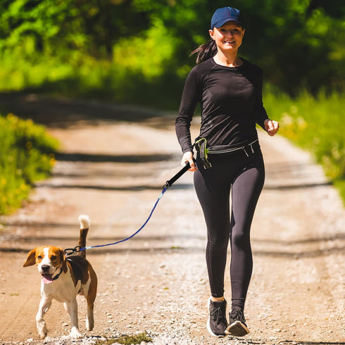 4/5/6 FT Chew Proof Dog Leashes with Comfortable Handle, Steel Cable Lead for Control Large or Medium Dogs Walk and Train, Heavy Duty with Rotate ...