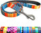 MayPaw 6FT Nylon Dog Leash Printing Floral Pattern Colorful Pet Leash for Puppy Small Medium Large Dogs...