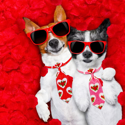 24pcs Valentine's Day Dog Collar Bow Ties Set, Adjustable Holiday Valentines Day Dog Grooming Bow Ties and Dog Neck Ties, Basic Small Dog Bow Ties...