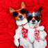 24pcs Valentine's Day Dog Collar Bow Ties Set, Adjustable Holiday Valentines Day Dog Grooming Bow Ties and Dog Neck Ties, Basic Small Dog Bow Ties...