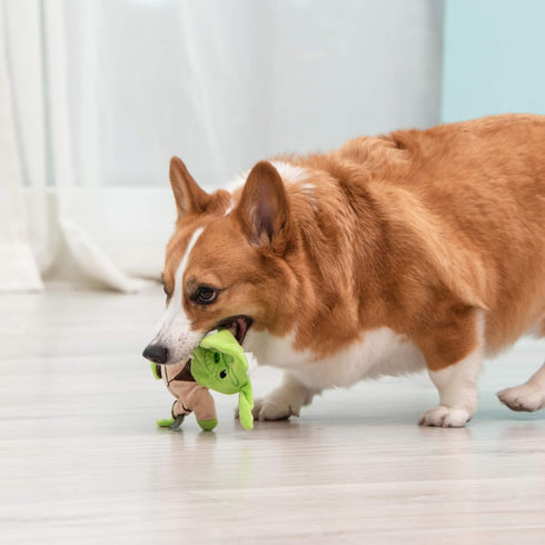 Star Wars for Pets Dog Toy Yoda 9 Inch Plush Flattie Dog Toy | Medium Yoda Dog Toy for All Dogs and Every Day Play to Add to Dog Toy Bin| Flat Dog...
