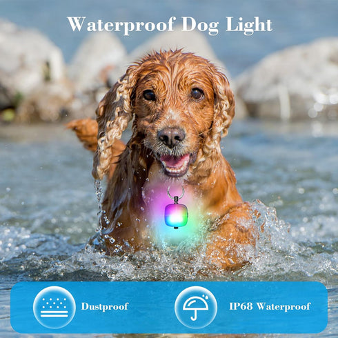 Rechargeable Dog Lights 2Pack LED Dog Collar Lights Clip on with 4 Lighting Modes Dog Safety Red Lights Harness Leashes Light for Dog Night Walkin...