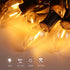 25 Pack C9 Led Replacement Christmas Light Bulb, 0.6W C9 Shatterproof Led Bulbs for Christmas String Light, E17 Intermediate Base, Commercial Grad...
