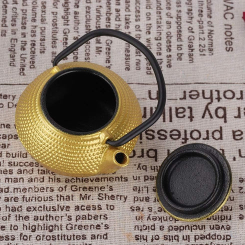Japanese Cast Iron Teapot, Cast Iron Teapot Gold, Japanese Tetsubin Tea Kettle, 50ml Mini Teapot Kettle, Traditional Japanese Teapot with Handle...