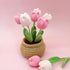 Lily's Lyric Flower Crochet Kit | Tulip Flowerpot | Step-by-Step Video Tutorial for Adults Teenagers | DIY Home Decoration Craft Gift Idea Pink...