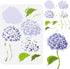 FINGERINSPIRE Layered Hydrangea Pattern Painting Stencil 8.3x11.7inch Hydrangea Flower Drawing Template DIY Craft Plants Decoration Stencil for Pa...