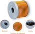 2 Pack Yerbay Compatible Motorcycle Oil Filter for Kawasaki 220 Bayou KLF220 KLF-220 1988-2002 16099-004...