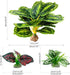Reptile Artificial Plants, Terrarium Plants Decorations Supplies, Aquarium Fish Tank Plant, Amphibian Habitat Hideout Tank Accessories(L Set-3pcs/...