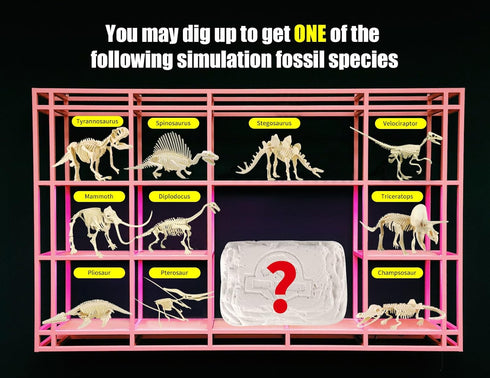 Dinosaur Fossil Digging Toy, Dig Up to Get ONE Dinosaur Skeleton, Archaeology Fossil Explore Science Education Toy, Cultivating Hand-On Skills and...