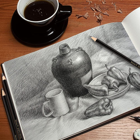 dainayw Professional Drawing Sketching Pencil Set, 12 Pieces Art Pencils 10B, 8B, 6B, 5B, 4B, 3B, 2B, B, HB, 2H, 4H, 6H Graphite Shading Pencils f...