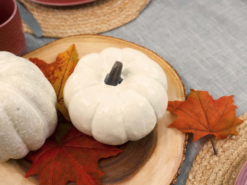 Elanze Designs Classic White 6 inch Resin Harvest Decorative Pumpkins Pack of 2...