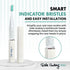 Ayurvedic Quick Sonic Toothbrush Head Replacement for Adults | DailyClean Toothbrush | (2 Count)...