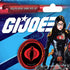 Renegade Game Studios G.I. Joe Roleplaying Game: Cobra Dice Set - 8 Piece (7 Dice, 1 d2 Coin), Renegade, RPG Accessory...
