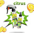 Citrus 2oz Toilet Spray - USA Made Before You Go Toilet Bowl Spray | Bathroom Poop Air Freshener Odor Eliminator Funny Gift...