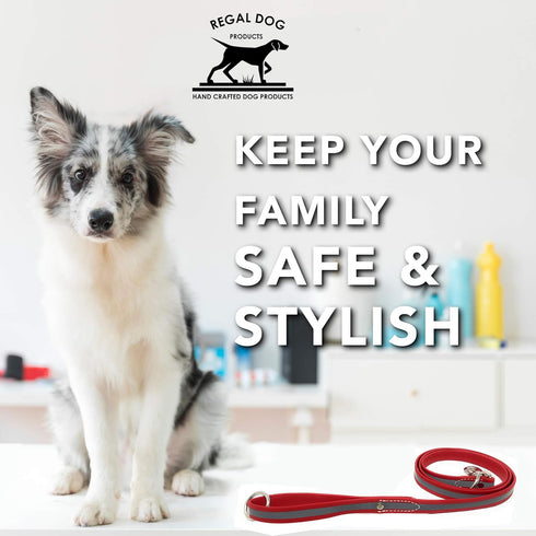 Regal Dog Products Reflective Leash – 5 ft. Dog Leash with Easy to Use Collar Hook, Lightweight, and Proof Training Pet Lead for Small, Medium, La...