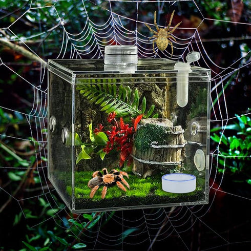 6 Pack Tarantula Ceramic Feeding Bowl Hermit Crab Water Bowl Spider Small Reptile Micro Ceramic Food Dish (1.37" D, 0.51" H)...