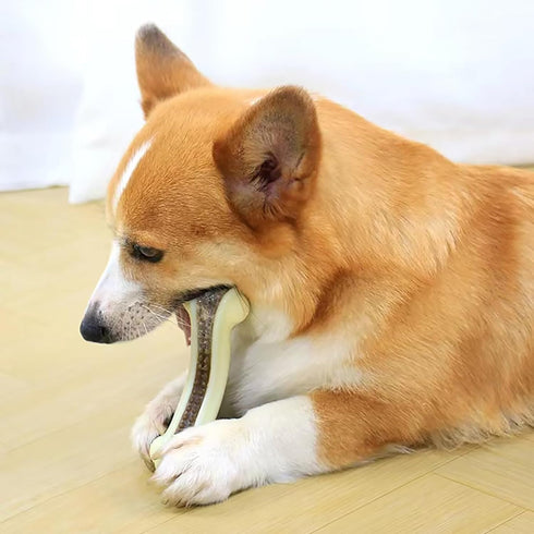 Dog Bones for Aggressive Chewers, 2 Pack Real Beef Flavor Dog Teething Toys for Medium/Small Breeds, Nylon Durable Dog Chew Toys...