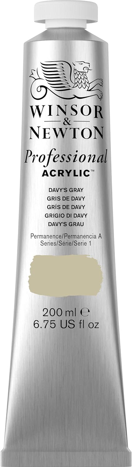Winsor & Newton Professional Acrylic Paint, 200ml (6.75-oz) Tube, Davy's Gray...