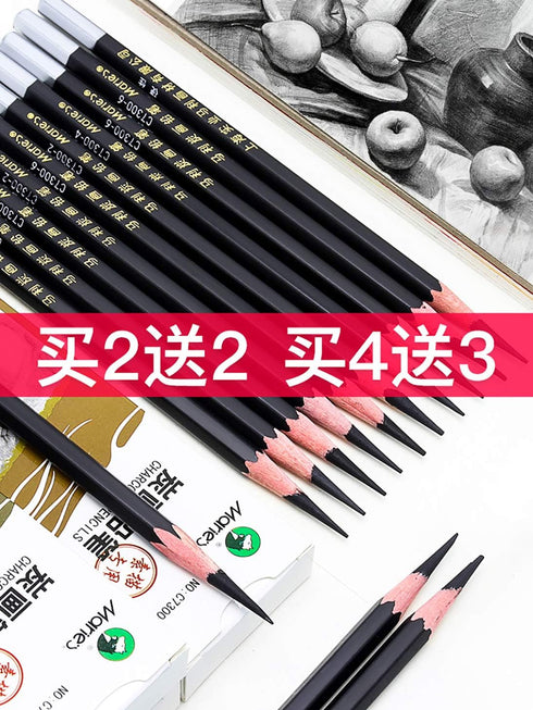 Carbon Painting Pencil Charcoal Drawing Sketch Pencils 12 Piece Soft...