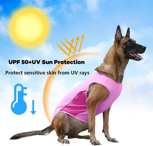 2 Pack UPF 50+ Sun Protection Dog Shirt,Sports Fan Pet T-Shirts for Small Dogs Girl, Lightweight Dog Tshirts with Reflective Strip Sleeveless Pupp...