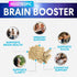 Brain Supplements for Memory and Focus, Nootropic Support for Concentration, Clarity, Energy, Brain Health with Bacopa, Cognitive Vitamins, Phosph...