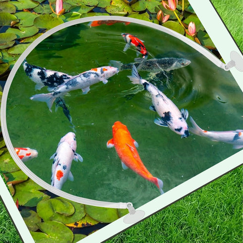 2 Pcs Aquarium Floating Plant Corral, Floating Plant Fence for Aquarium Accessories, Separates Floating Plants, Auto-Adjusts Height with Water Lev...