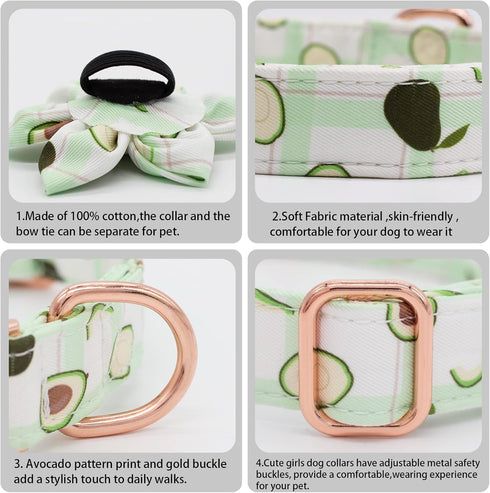 Dog Collar and Leash Set with Flower Bow Tie Girls Dog Collar Dog Tag Metal Buckle Adjustable for Small Medium Large Dogs Avocado-XS...