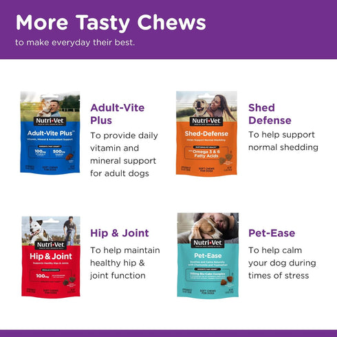 Nutri-Vet Probiotics Capsules for Dogs | Supports Digestive Health | For All Size Dogs | Promotes Healthy Immune System | Vet Formulated | 60 Coun...