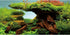AWERT 48x24 inches Wood Fish Tank Background Seaweed Aquarium Background River Bed & Lake Aquarium Background Vinyl Background...