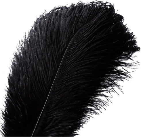 10pcs Natural Ostrich Feather Craft Plume for Wedding Centerpieces Home Decoration (14-16inch, Black)...