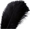 10pcs Natural Ostrich Feather Craft Plume for Wedding Centerpieces Home Decoration (14-16inch, Black)...