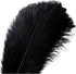 10pcs Natural Ostrich Feather Craft Plume for Wedding Centerpieces Home Decoration (14-16inch, Black)...