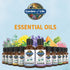 Garden of Life Essential Oil Sweet Orange 100% USDA Organic & Pure, Clean, Undiluted & Non-GMO for Diffuser, Aromatherapy, Meditation, Joyful, Cal...