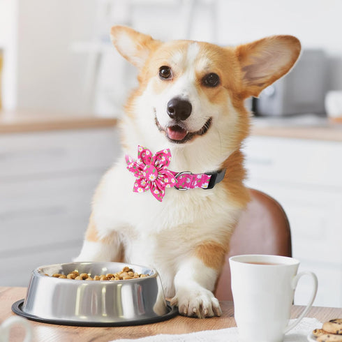 BiPawTi Flower Dog Collar, Soft Small Girl Dog Collar with Floral Patterns Decoration, Cute Daisy Dog Collars for Dogs Puppy, Summer Dog Collar Bo...